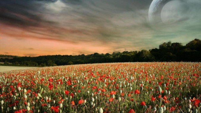 你读过的最好的 C开源代码是什么？